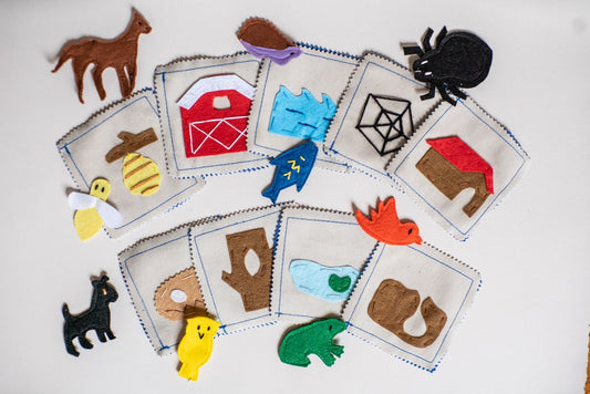 Animal Homes Matching Game