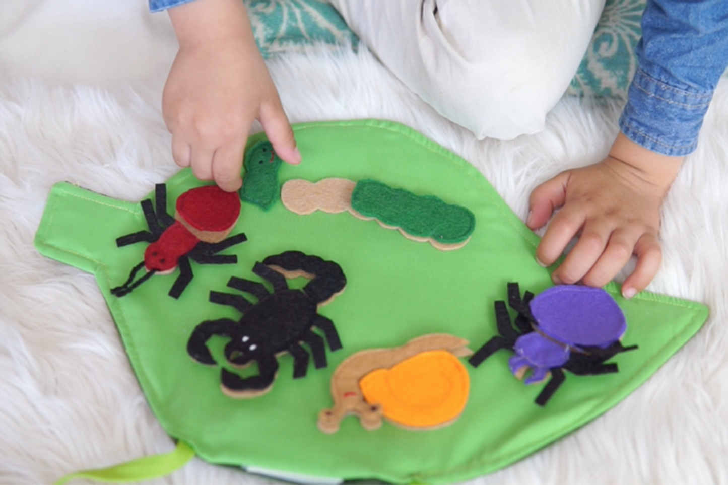 Crawling Bugs Assembly Kit