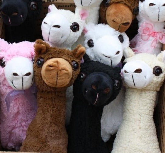 "PacaBuddies" Stuffed Alpaca Toys